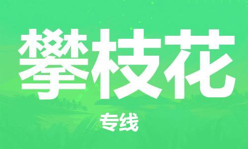 郑州到攀枝花物流公司|郑州到攀枝花物流专线| 郑州到攀枝花物流公司|郑州到攀枝花物流专线|